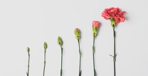 Madurez digital en salud: Transformación que salva vidas