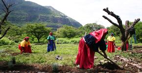 ¿Cuál es nuestra agenda en común con los pueblos indígenas?