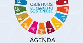 La sostenibilidad: innovación disruptiva