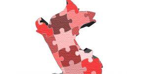 ¿Qué hacemos con la regionalización?