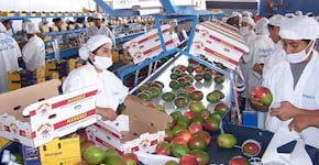 ¿El fin del “milagro económico” peruano?