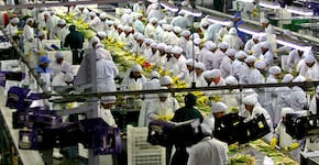 ¿Cómo podemos sofisticarnos?