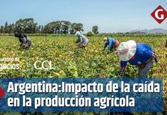 ¿Cómo afecta la caída de la producción agrícola argentina al Perú?