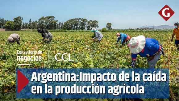 Argentina: impacto de la caída en la producción agrícola