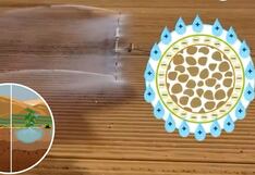 Nanoarcilla convierte arena en tierra fértil en siete horas