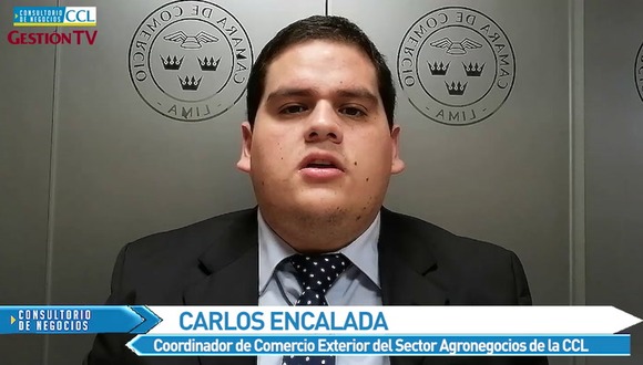 la importancia de la diversificación de mercados para lograr la internacionalización