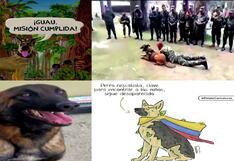 Colombia: Buscan a “Wilson”, perro rescatista que fue fundamental para el rescate de niños en la selva