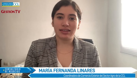 Las claves para poder iniciar en las agroexportaciones