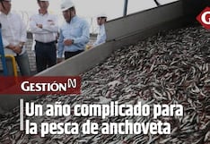 Cayetana Aljovín: será un año complicado para la pesca por fenómenos climatológicos