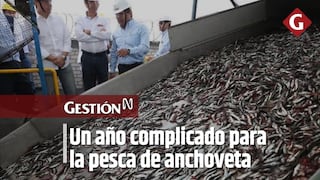 Cayetana Aljovín: será un año complicado para la pesca por fenómenos climatológicos