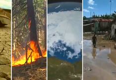 Deshielo del Ártico: Descubre los problemas irreversibles que traería para el mundo