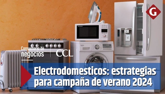 Electrodomésticos frente al verano: proyecciones y estrategias para una buena campaña