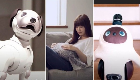 Robots reemplazan mascotas