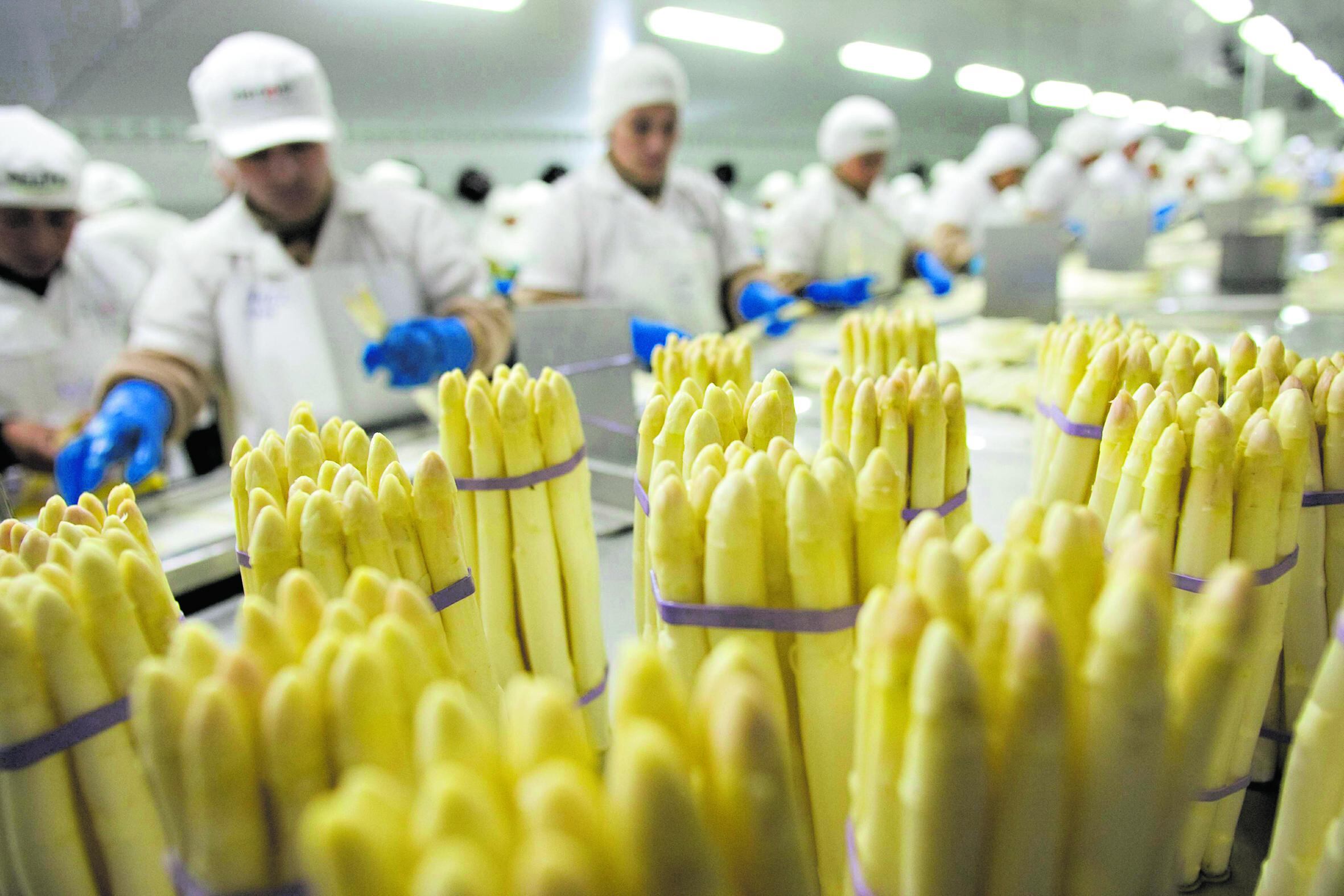 Poner productos lo más frescos posibles (y con amplia vida útil) en supermercados en el hemisferio norte requiere mucha (bio)tecnología. (Foto: GEC)