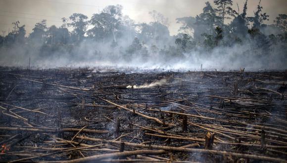 Deforestación en la Amazonía. (Foto: AFP)