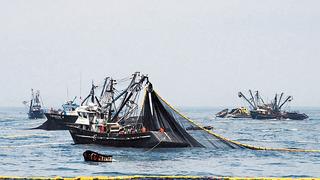 La Niña mejoraría condiciones para pesca de anchoveta en actual temporada