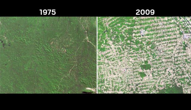 Bosque em Rondônia| En Brasil todavía podemos encontrar al Bosque em Rondônia. La NASA muestra que tala ilegal ha generado que este espacio se quede ya casi sin área verde.  (NASA)