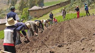 Ministerio de Desarrollo Agrario impulsará declaratoria de emergencia del agro