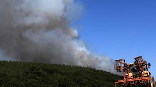 Calor y sequía afectarán producción de maíz, según USDA