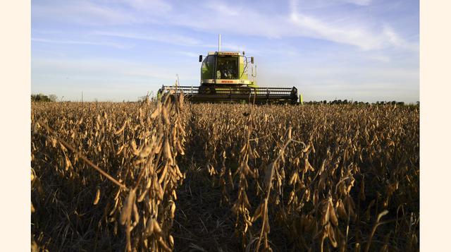 En cuanto a la producción, el desperdicio se debe principalmente a formas ineficientes o prematuras de cosechar, y a condiciones excesivas de lluvia o de sequedad. (Foto: Bloomberg)