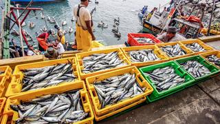 Pesca creció a doble dígito en marzo por mayor extracción de especies para enlatado