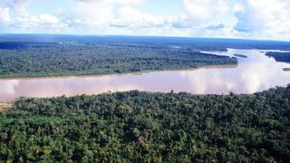 Minagri: Industria forestal es la que más aportará en reducir efectos del cambio climático en el país