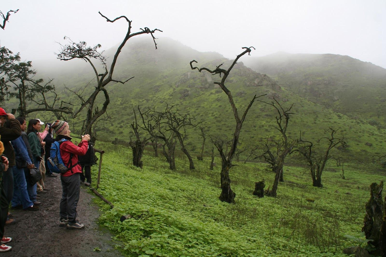 Turistas en la Reserva Nacional Pacaya Samiria, en Loreto. (Foto: USI)
