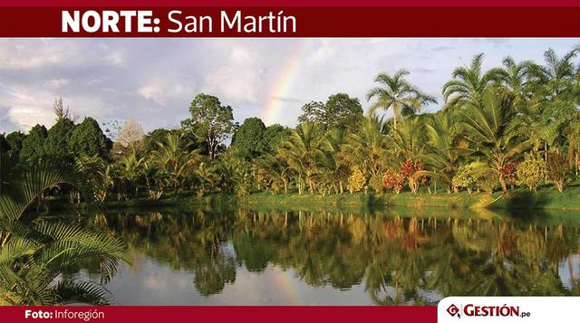 San Martín: Las empresas de transporte terrestre que conectan Tarapoto y Moyobamba con Chiclayo, Trujillo y Lima han suspendido sus salidas habituales y la venta de pasajes se viene dando sujeta a reprogramación. La conexión aérea de Tarapoto con Lima, Iq