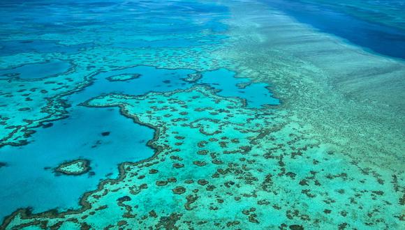 La Unesco había alertado por primera vez en 2010 sobre el deterioro del arrecife. (Foto: Shutterstock)