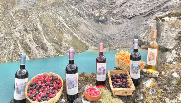 Agronesis del Perú es una empresa que cultiva berries en Caraz y, además, elabora vinos y otros derivados para su comercialización.