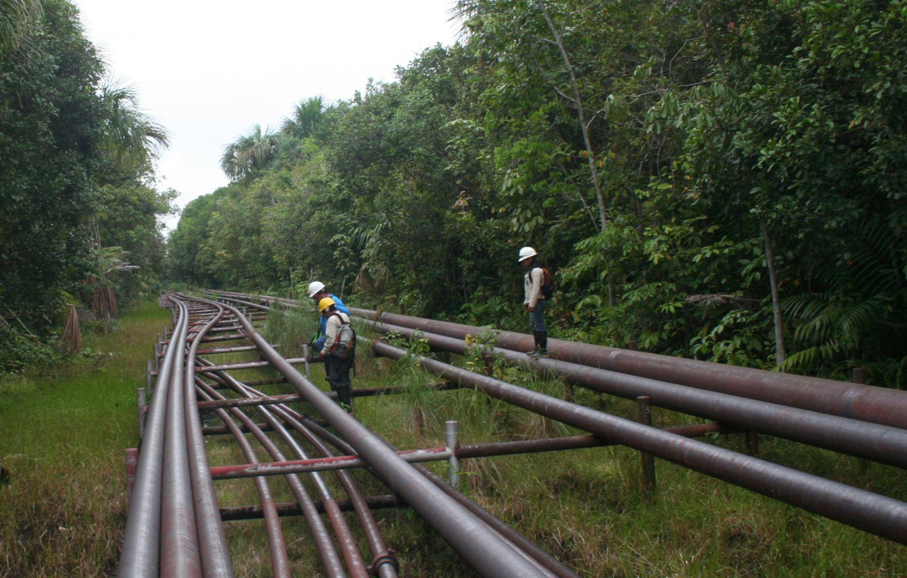 Los sistemas de transporte de hidrocarburos de la selva norte y selva central se han registrado 45 actos de sabotaje entre 2011 y 2018, señaló el SNMPE. (Foto: Andina)