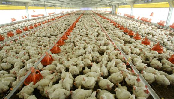 En enero, los precios al por mayor subieron impulsados por los productos pecuarios, principalmente el pollo en pie (8.1%), señaló el INEI.