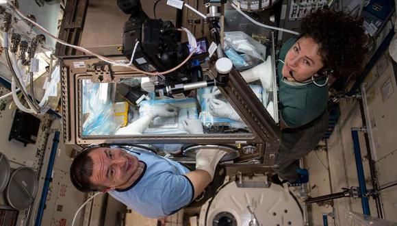 Los astronautas de la NASA, Jessica Meir y Drew Morgan, trabajan con los ratones en el Life Sciences Glovebox a bordo de la EEI. Foto: NASA. (Foto: EFE)