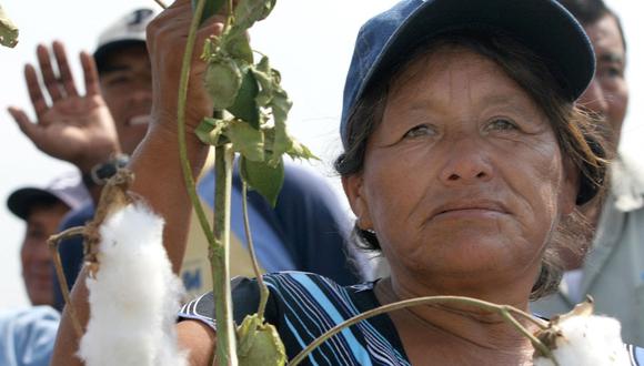 Trabajadores temporales y agrícolas podrían beneficiarse con la Green Card (Foto: AFP)