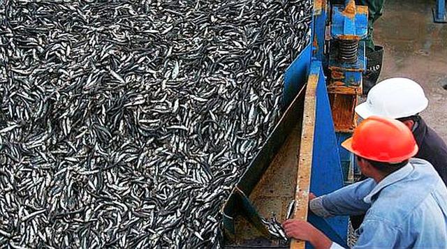 Ingeniería Pesquera. El ingreso promedio es de S/ 2,059. El ingreso mínimo es de S/ 1,400 y el máximo de S/ 2,500.