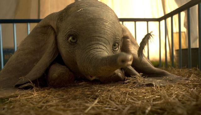 Foto 7: "Dumbo", filme dirigido por Tim Burton, se encuentra en el séptimo lugar con US$ 3.2 millones durante el fin de semana y US$ 107 millones en total desde que se exhibió. (Foto: IMDB)