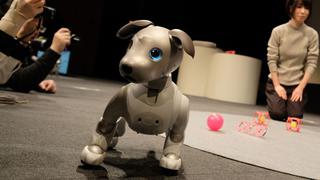 Un estudiante diseña un perro guía robot para personas con discapacidad visual