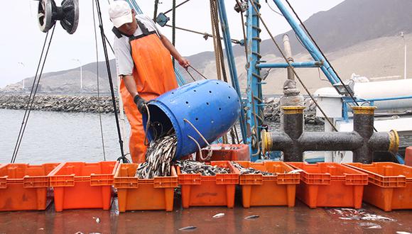 Es importante recalcar, que el 40% de los pisqueños se dedican a la pesca, sobre todo la artesanal, por lo que esta actividad es de suma importancia para su economía. (Foto: GEC)