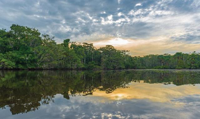 Foto 33 | Dónde: Manaus, Amazon, Brasil. Elizabeth Avery, fundadora de Solo Trekker 4 U, comenta: Manaus en el norte de Brasil está a un vuelo corto de Miami y ofrece múltiples opciones económicas en uno. Es un destino superior para viajes de aventura o una vida silvestre tranquila y una estancia de fotografía o un eco-tour serio. Aunque es una ciudad de 1 millón de habitantes, Manaus es principalmente famosa por ser la puerta de entrada a la selva amazónica. Los hoteles cómodos y modernos como el Caesar Business Hotel comienzan en US$ 63 durante todo el año. Además de las visitas río arriba en la selva tropical, Manaus ofrece sitios que van desde el afluente del Amazonas local, el Río Negro y la legendaria Casa de la Ópera de Manaos/Teatro Amazonas de estilo renacentista. Para una vista de cerca de la vida silvestre, incluidas las especies en peligro de extinción, hay un zoológico pequeño y gratuito en el Hotel Tropical. Un biólogo encabeza este centro de rescate certificado por el estado que cuenta con escurridizas especies de bosque lluvioso profundo, desde jaguares hasta los encantadores capibaras de 120 libras. El Bosque da Ciencia (Science Center) es un popular parque al aire libre a las afueras de la ciudad de Manaus. Las especies locales deambulan libremente frente a los turistas que pasean. Las opciones de viaje de un día incluyen visitas cortas a la selva tropical, así como las cascadas Presidente Figueiredo y Gruta do Refugio do Maroaga, una cueva llena de vida marina y murciélagos. Viajar en la temporada de lluvias proporciona un valor aún mejor, y el clima no es un obstáculo para pasear en bote y ver una gran variedad de aves tropicales, delfines rosados ​​y una piraña de caza o dos.