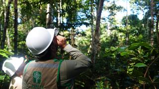 Amazonía: Cuatro tecnologías IA que ayudan a proteger la selva de Brasil