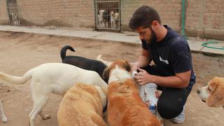 ¿Cómo el cannabis mejora la calidad de vida de las mascotas?