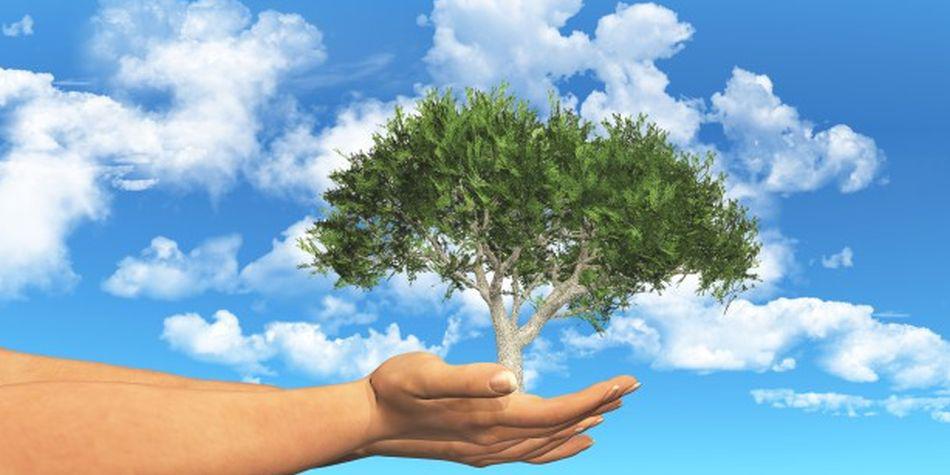 Ahora las universidades ofrecen carreras relacionadas al cuidado del medio ambiente. (Foto: Freepik)