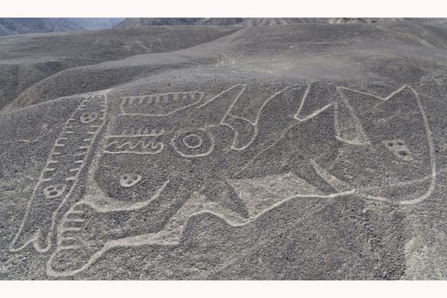Foto 6 | La Orca, es un geoglifo mide unos 60 metros de largo y está ubicado en la falda de un cerro en el sector de Piedras Gordas en el distrito de Llipata.Foto: Cortesía/ Genry Emerson Bautista.