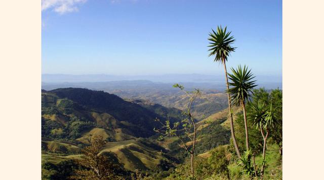 Bosque Nuboso Monteverde, Costa Rica. Si eres del tipo expedicionario, amante de la naturaleza, este es el sitio que debes visitar sin falta. El 90% del área consta de selva virgen, lo cual significa que hay una biodiversidad extremadamente elevada. La ca