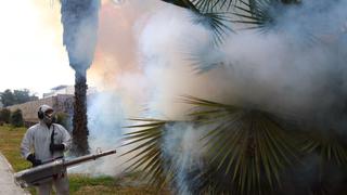 Minsa declarará emergencia sanitaria 13 regiones por brote de dengue