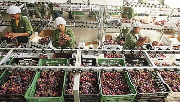 Ministro de Comercio Exterior y Turismo  recordó  que estamos en periodo de cosecha, culminando con los arándanos y en plena uva (Foto: Adex).