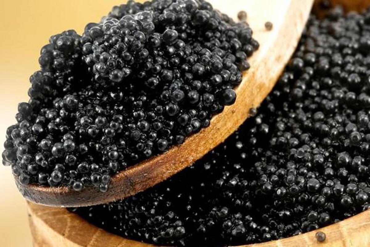 Preparación Desde Definición El futuro del caviar negro ya está aquí | MUNDO | GESTIÓN