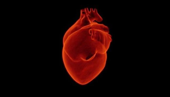 Para generar el modelo protagonista de este trabajo se realizó una biopsia de piel a cada uno de los hermanos, y las células obtenidas se transformaron en células madre que luego se diferenciaron en cardiomiocitos, células del corazón. (Foto: Pixabay)