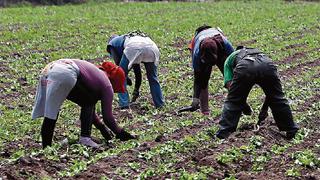 Bono agrario: ¿cuáles son las dudas que debe aclarar el reglamento de nueva Ley Agraria?