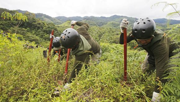 El “Plan Anual de Reducción del Espacio Cocalero Ilegal con Responsabilidad Social en Perú al 2022″ prevé una disminución de 18,000 hectáreas de cultivos ilegales este año. (Imagen referencial/GEC)